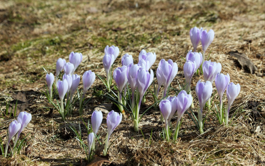 1755719 (a): :2560x1600